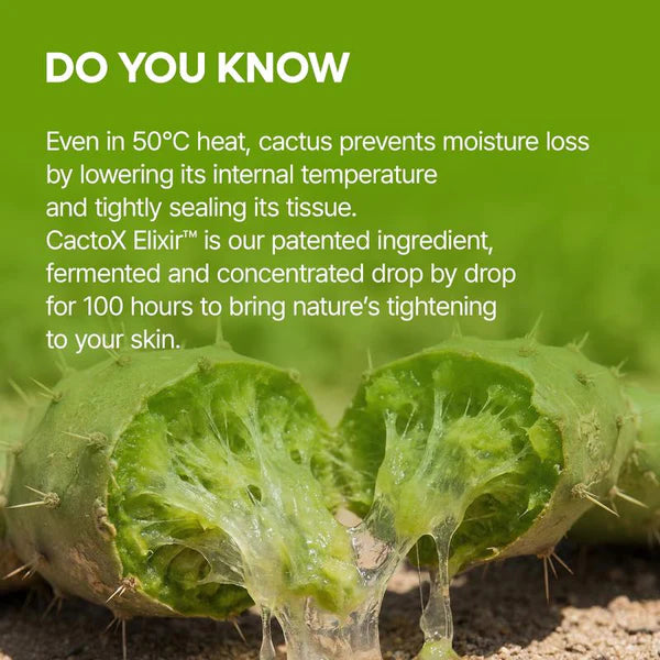 Cactox V-Lifting Mewing Band (4x Masks Per Pack)